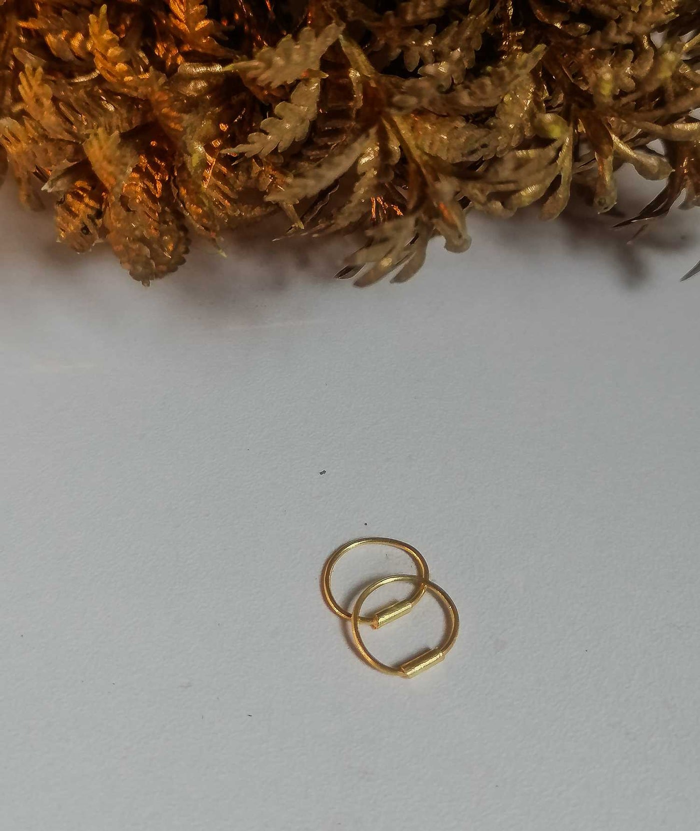 Golden plan Hoop Earrings | Lightweight Multi-Use Daily Wear & Gift Jewelry for Women